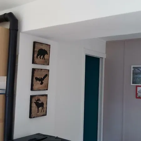 Casa Delle Camelie Lägenhet